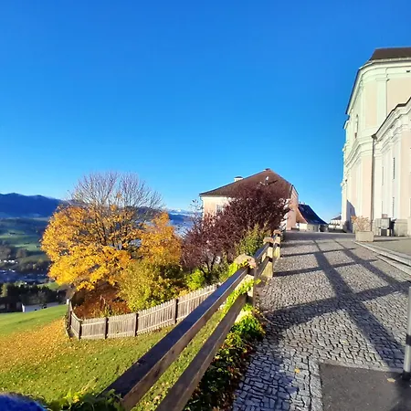 公寓 Haus Ybbstalblick Grossing (Liezen)