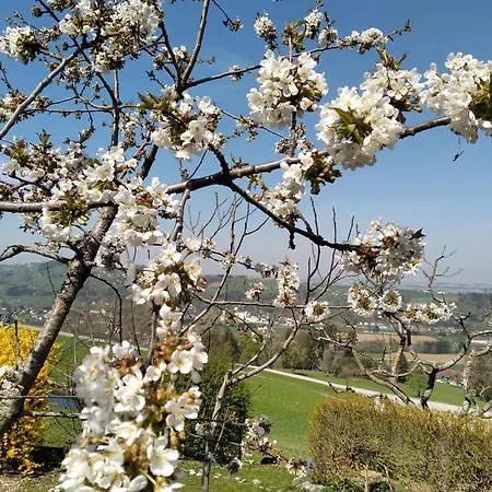 Haus Ybbstalblick Apartamento