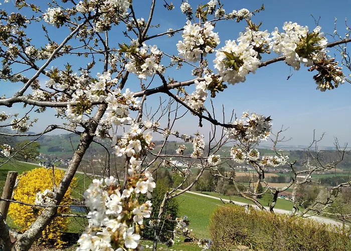 Haus Ybbstalblick Apartamento