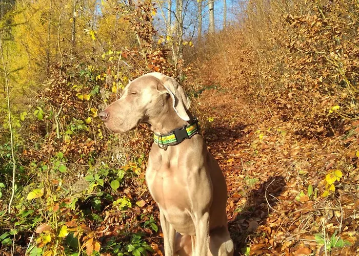 Haus Ybbstalblick Grossing (Liezen)